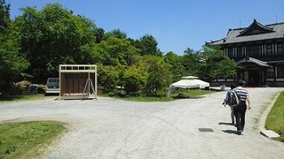 IMG_20170519_115101.jpg